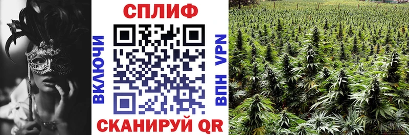 Что такое Завитинск A-PVP Гашиш Кокаин