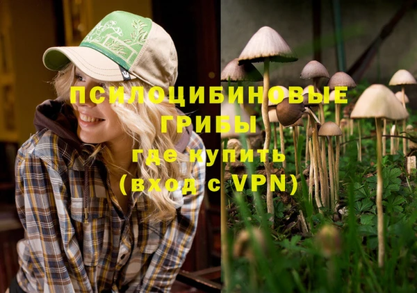 гидропоника Алексеевка