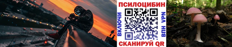 дарк нет клад  Завитинск  Галлюциногенные грибы Psilocybe 